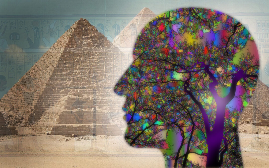 Uimitoarea pastilă benefică generatoare de înțelepciune – Ep.30 – Neurobiologia luminii interioare